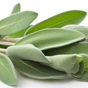 תמונה של מרווה