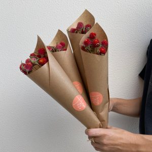 פרחים מיובשים 2