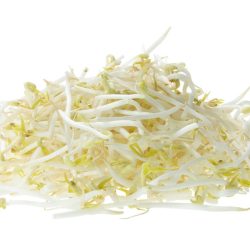 Bean Sprouts