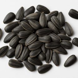 compressed_sunflower_seeds