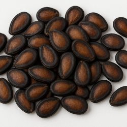 compressed_watermelon_seeds
